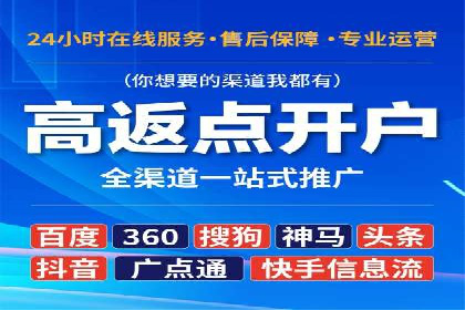 竞价SEM案例分享：行业霸主崛起之路